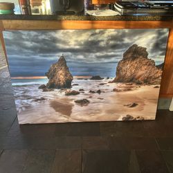 Painting/Photo painting 