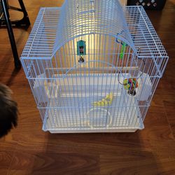 Bird Cage