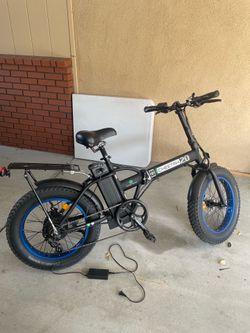 Cheetah 20 inch class 2