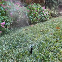 Sprinkler Repair 