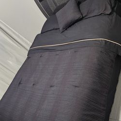 Move today, pick up.