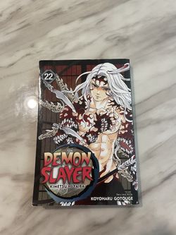 Demon Slayer Book 22