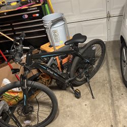 Totguard E-Bike
