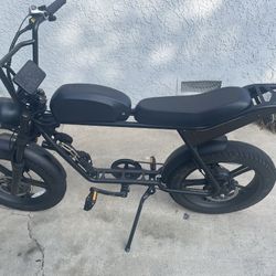 Dynalion E-bike