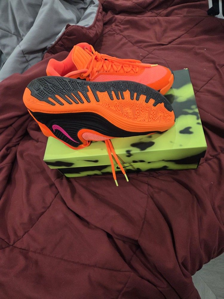 Nike Basketball Shoes 