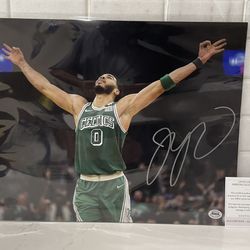 Jayson Tatum Boston Celtics Signed Autographed 11x14 Photo with ACA COA