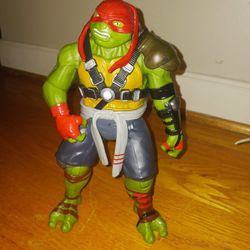 Large TMNT action Figure