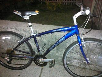 Road bike specialized college students