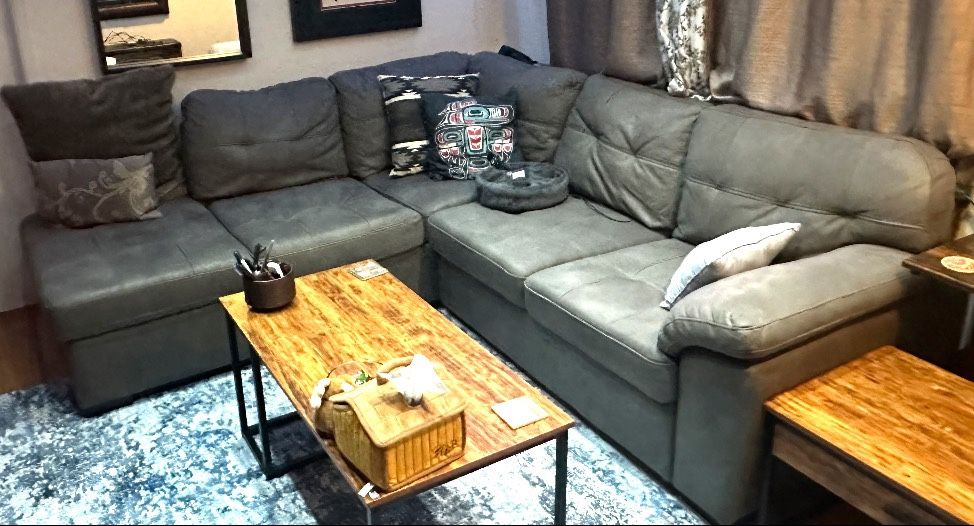 Pull Out Sectional Couch