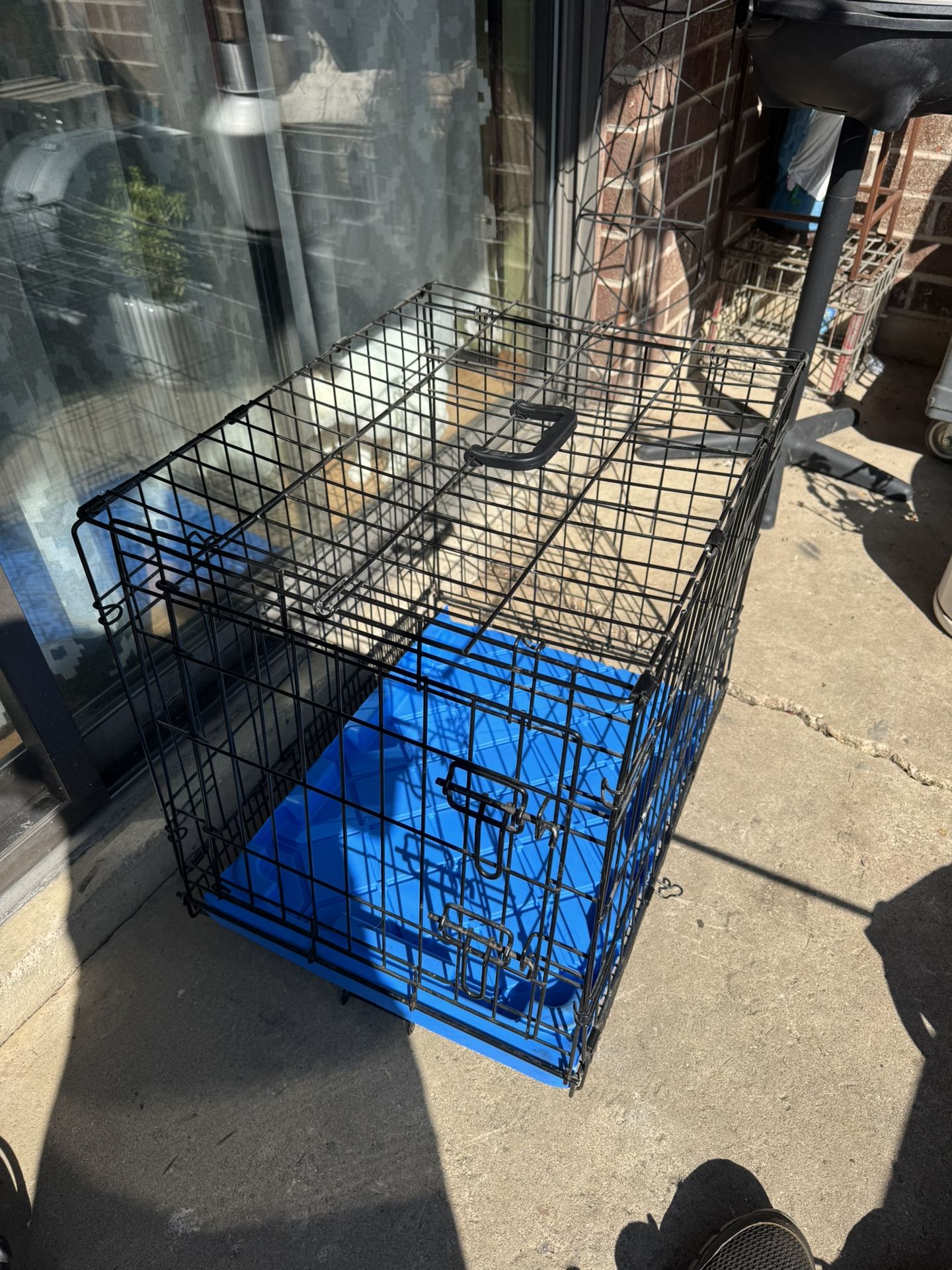 Cage Dog 19x21x20
