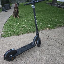 GOtrax TOUR XP Electric Scooter