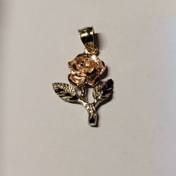 14 K GOLD  PENDANT