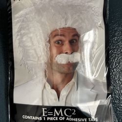 Albert Einstein Wig From Spirit Halloween