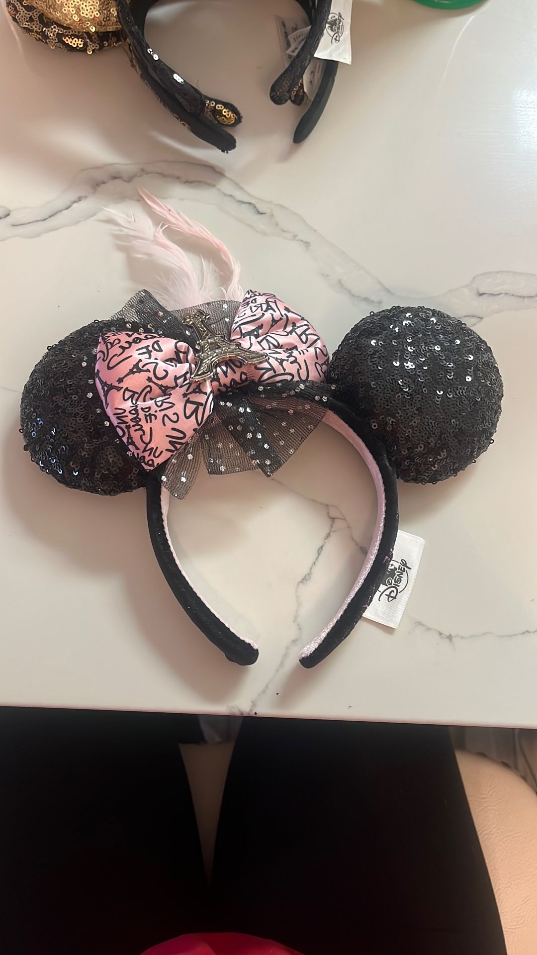 Disney Paris Theme Ears