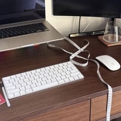 Apple Magic Keyboard and mouse (wireless)