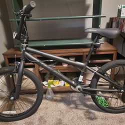 20" Kent Bicycle