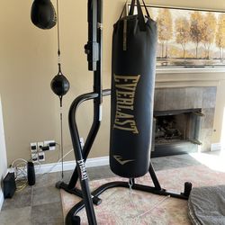 Everlast Three station boxing bags