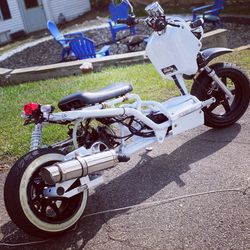 Scooter/ruckus Summer Time Ride