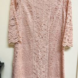 Eliza J- Like New!! Blush Pink Overlay Lace Cocktail Pencil Dress/Size 6p