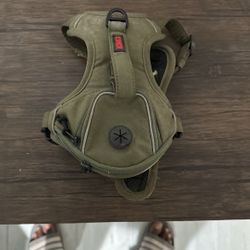 Small Kong Puppy Harness 