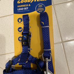 Dog Harness & Leash 