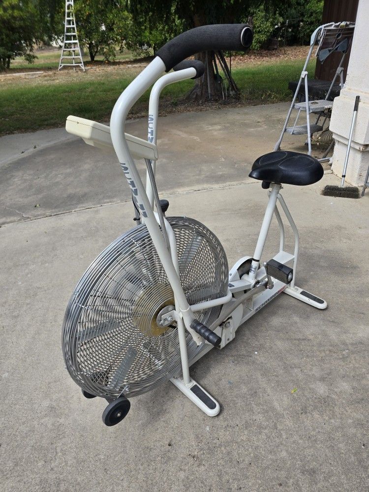 Schwinn Aerodyne BIKE