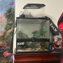Exo Terra Enclosure for crested gecko