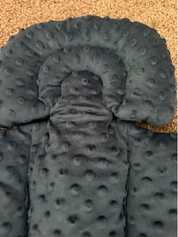 Car seat insert