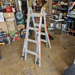 Little Giant Ladder 