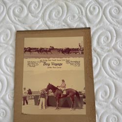 Calder Racetrack Winners Circle Photos Old