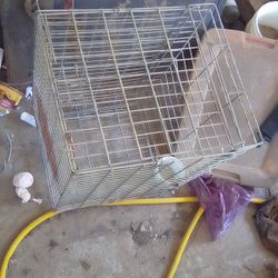 Dog Cage