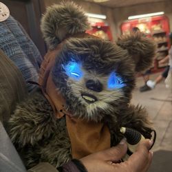 New EWOK Batuu Buddies