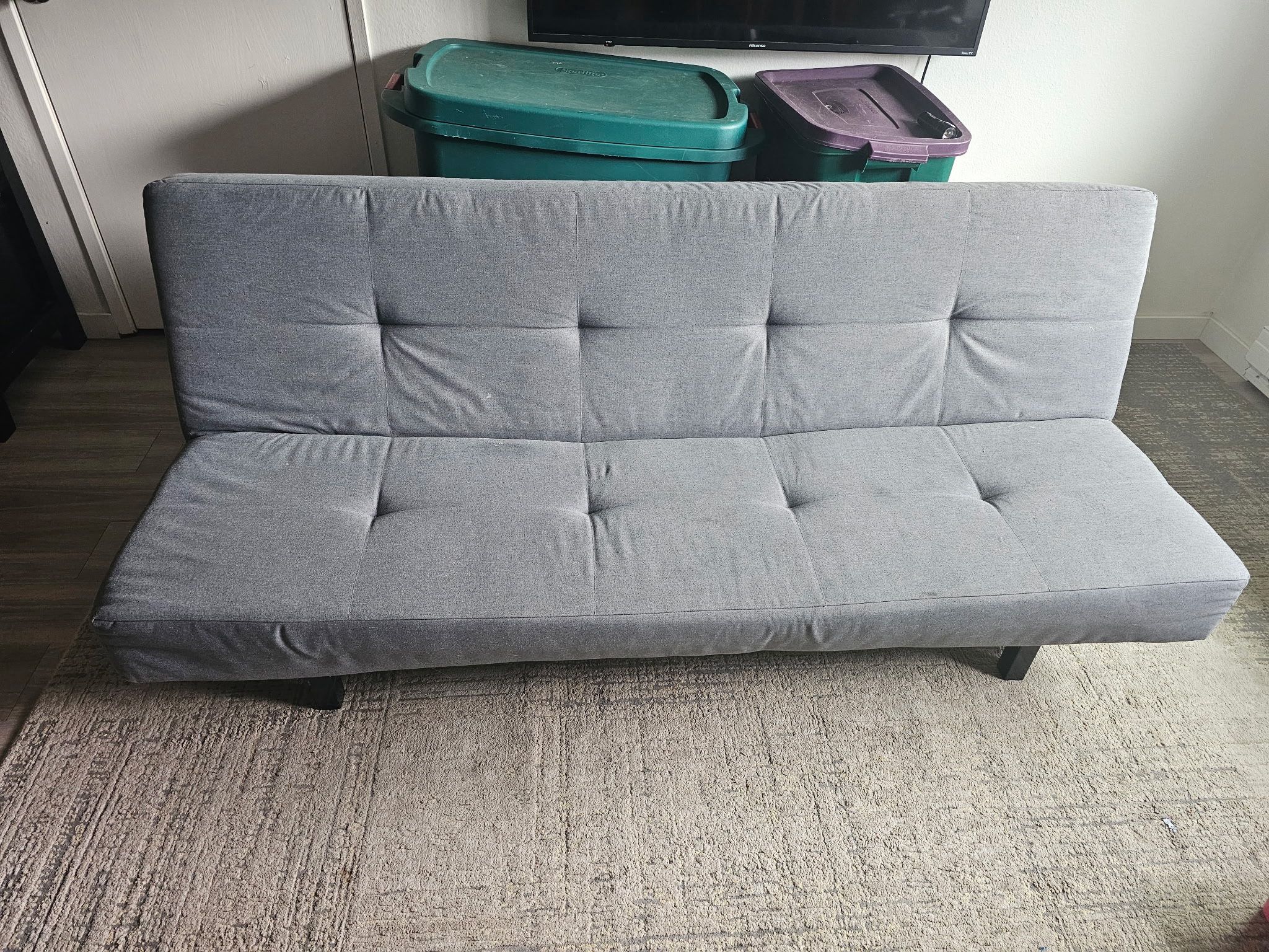 Futon Couch
