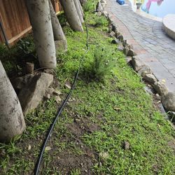Irrigation Valves