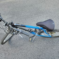 Nishiki Mens Bike