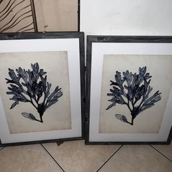 Pictures 