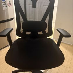 Ergonomic Office Chair 