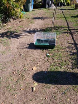 Pet Cage Was Purchased Two Months Ago It's Brand New Still