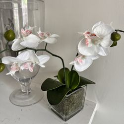 Faux Orchid In Clear Glass Base 
