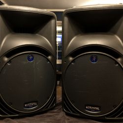 2 Mackie Professional Speakers with cases