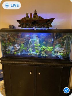 Large Fish Tank with Stand