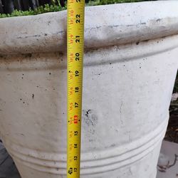 Cement Pots