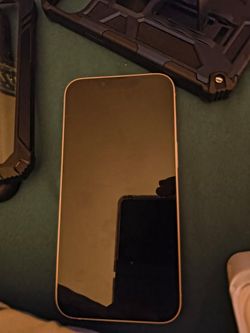Apple 13