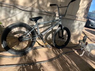 Fit bike Freecoaster str