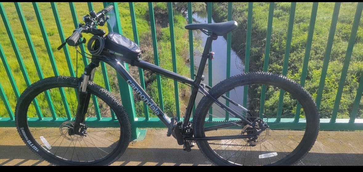 Cannondale Trail 8