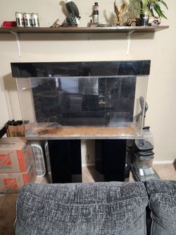Fish Tank