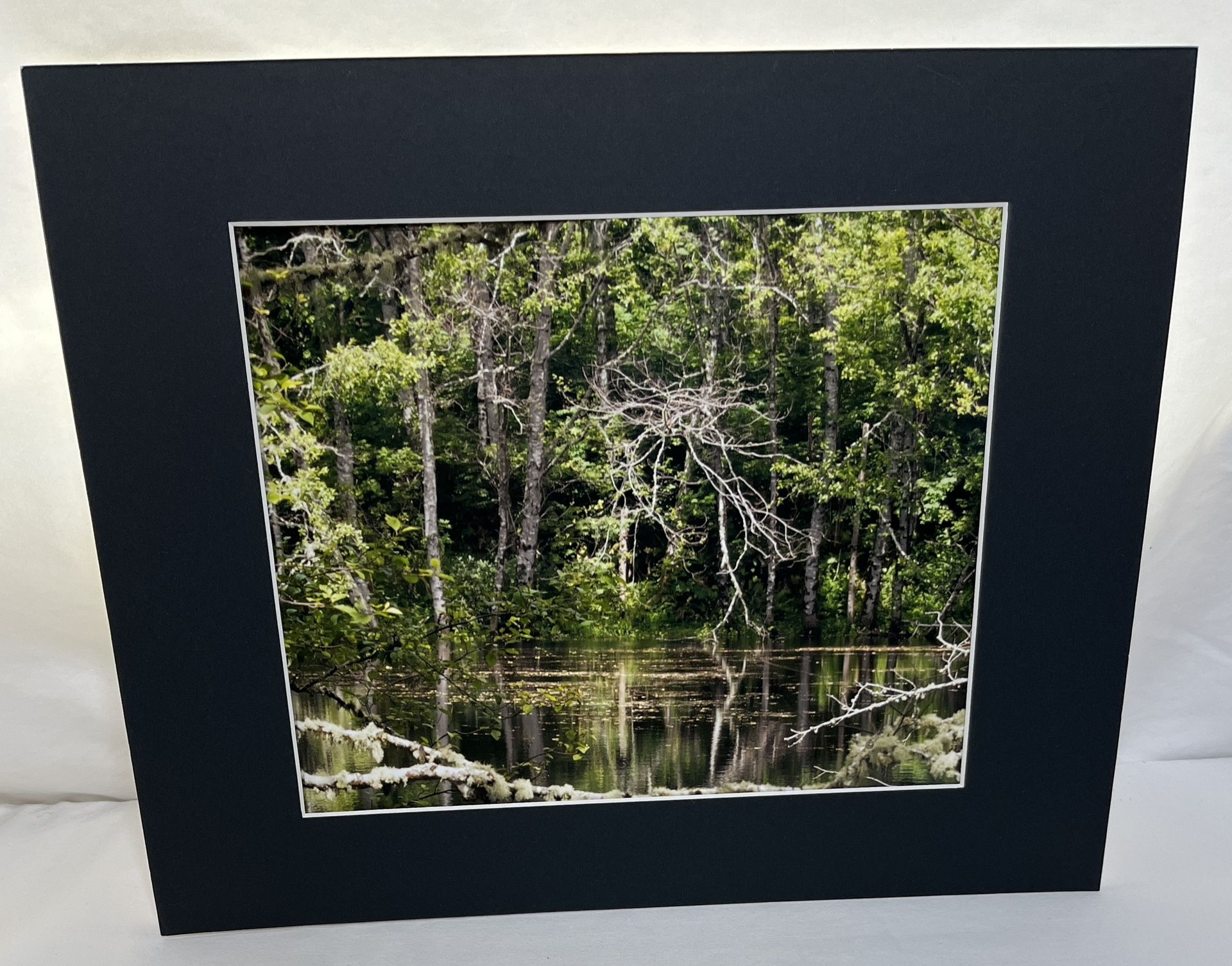 Original Photo w/Mat - Ready to Frame 11x14