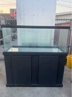 75 Gallon Aquarium