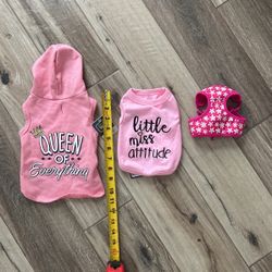 Pink Dog Clothing And Free Harness