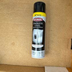 Woman Stainless Steel Cleaner